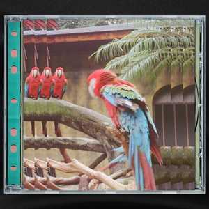 范冰冰大荫蒂视频
