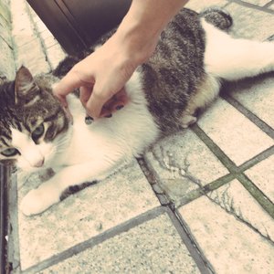 成年人的视频之探花啪啪啪
